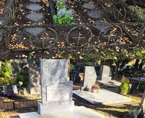 Kapų tvarkymas - paminklai,plokštės,skalda,pamatai,tvorelės / Matas / Darbų pavyzdys ID 4322491