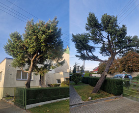 Vejos aeravimas - Jūsų patikimas sodo partneris Kaune - 4