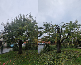 Vejos aeravimas - Jūsų patikimas sodo partneris Kaune - 3