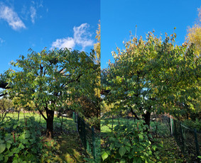 Vejos aeravimas - Jūsų patikimas sodo partneris Kaune - 2