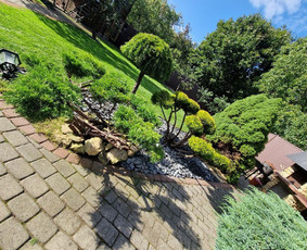 Vejos aeravimas - Jūsų patikimas sodo partneris Kaune - 1