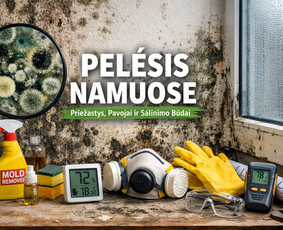 Pelėsio naikinimas - Pelėsio ir medžio grybo "Trobagrybio" naikinimas, &scaron;alinimas - 1