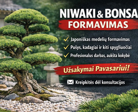 Aplinka, sodas - Dekoratyvinių medelių formavimas.niwaki.bonsai. - 1
