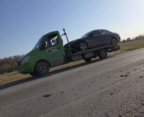 Tralo paslaugos kroviniu pervezimas / Deimantas / Darbų pavyzdys ID 4323145