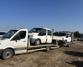 Krovinių pervežimas - Traliukas, Kaunas Marijampolė - visa Lietuva - 3