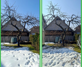 Gyvatvorių,vaismedžių karpymas Jonavoje ir Kauno apskrityje / Karolis Genutis / Darbų pavyzdys ID 4323259