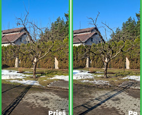 Tradiciniai amatai - Vaismedžių genėjimas Jonavoje ir Kauno apskrityje - 1