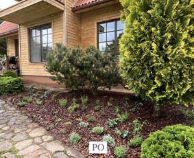 Aplinkos tvarkymas, apželdinimas - Žalių erdvių dizainas - 2