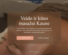 Svetainių kūrimas - Internetinių svetainių kūrimas verslui - 1