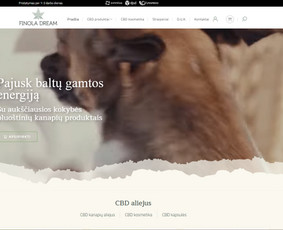 Interneto svetainių priežiūra - Internetinių svetainių kūrimas verslui - 2