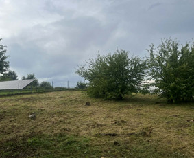 Žolės pjovimas, sklypų tvarkymas / Justas Žukauskas / Darbų pavyzdys ID 4325855