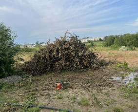 Žolės pjovimas, sklypų tvarkymas / Justas Žukauskas / Darbų pavyzdys ID 4325857