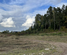 Vejos priežiūra, įrengimas - Žolės pjovimas, gyvatvorių karpymas, sklypų priežiūra - 4