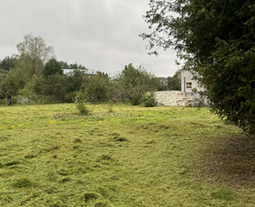 Vejos priežiūra, įrengimas - Žolės pjovimas, gyvatvorių karpymas, sklypų priežiūra - 3