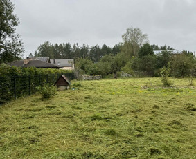 Vejos priežiūra, įrengimas - Žolės pjovimas, gyvatvorių karpymas, sklypų priežiūra - 2