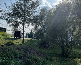 Vejos priežiūra, įrengimas - Žolės pjovimas, gyvatvorių karpymas, sklypų priežiūra - 1