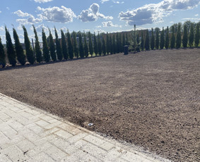 Vejos įrengimas: sėjimas, ruloninė veja - Gerbuvis - 2