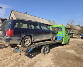 Transportas - Tralo paslaugos kroviniu pervezimas - 2