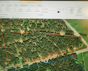 Tradiciniai amatai - Mi&scaron;kotvarkos projektai, Mi&scaron;kininkystė, Mi&scaron;kai - 2