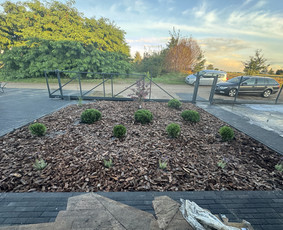 Augalų ir medelių sodinimas - Vejos įrengimas ir priežiūra - 1