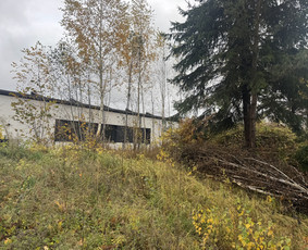 Pievų &scaron;ienavimas - Sklypų tvarkymas , krūmų - medžių pjovimas - 4