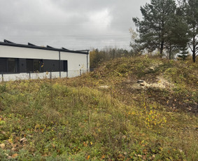 Pievų &scaron;ienavimas - Sklypų tvarkymas , krūmų - medžių pjovimas - 3