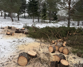 Pievų &scaron;ienavimas - Sklypų tvarkymas , krūmų - medžių pjovimas - 1