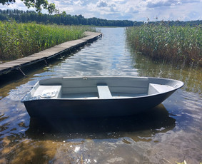 Sodybos nuoma (prie Ilgio ežero) / Rasa St. / Darbų pavyzdys ID 4326975