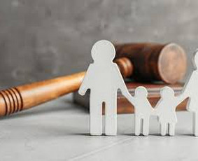 &Scaron;eimos teisės paslaugos - Teisinės ir mediacijos paslaugos. - 1