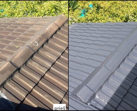 Fasadų apdaila, dažymas - Fasadų dažymas ir apdaila, Stogų dažymas ir dengimas - 2