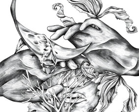 Knygų iliustravimas - Skaitmeninis iliustravimas - 1