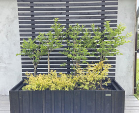 Medžio darbai, staliai - Vazonai terasoms pagal individualius i&scaron;matavimus - 2