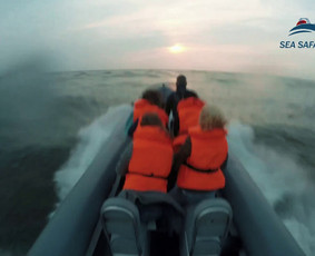 Laivo nuoma - Ekstremalios i&scaron;vykos į jūrą, mar&scaron;rutai Pamario kra&scaron;te - 4