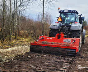 Medžių genėjimas, pjovimas - Apleistų sklypų tvarkymas Giluminis kelmų frezavimas - 3