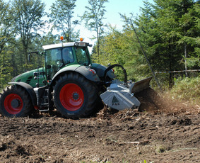 Kelmų naikinimas, frezavimas - Apleistų sklypų tvarkymas Giluminis kelmų frezavimas - 1
