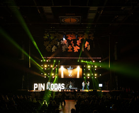 Prezentacijų įgarsinimas - Scenos / ap&scaron;vietimas / įgarsinimas / Led ekranai - 1