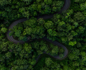 Rinkodara (marketingas) - I&scaron;orinė rinkodaros vadovė - 4