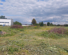 Medžių genėjimas, pjovimas - Medžių bei medelių pjovimas, aplinkos tvarkymas - 1