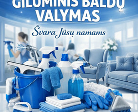 Švarą Jūsų namams / Švara jūsų namams / Darbų pavyzdys ID 4329749