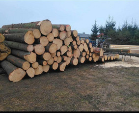 Kitos įvairios paslaugos - Kilnojamu juostiniu gateriu, pjauname rąstus - 1