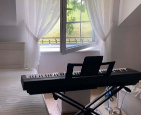 Solinio dainavimo pamokos Gyvai Ir Online / Eglė Stundžiaitė / Darbų pavyzdys ID 4331743