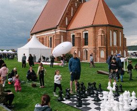 Medinių lauko žaidimų nuoma / MB Margas miškas / Darbų pavyzdys ID 4331909