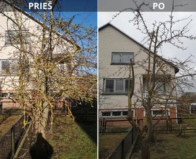 Vaismedžių genėjimas - Vaismedžių genėjimas, priežiūra, konsultacijos (ind.veikla) - 4