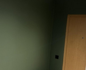 Statybos darbai - Vidaus apdailos darbai - 2