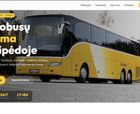 Interneto svetainių kūrimas - Internetinių svetainių ir el. parduotuvių kūrimas - 1