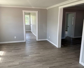 Sienų dažymas - Stogų, fasadų dažymas, Gipsas, apdaila - 3