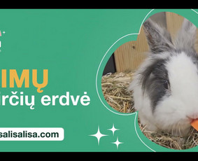 Vaikų žaidimų kambariai - Alisos vaikų žaidimų kambarys - 1