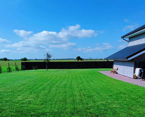 Aplinkos tvarkymas, apželdinimas - Vejos Įrengimas Ir Aplinkos Tvarkymas - 1