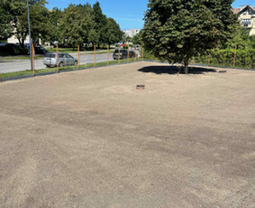 Aplinkos tvarkymas, apželdinimas - Vejos Įrengimas Ir Aplinkos Tvarkymas - 3