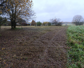 Apleistų sklypų tvarkymas - Vejos įrengimas, aplinkos tvarkymas, kelmų frezavimas. - 1